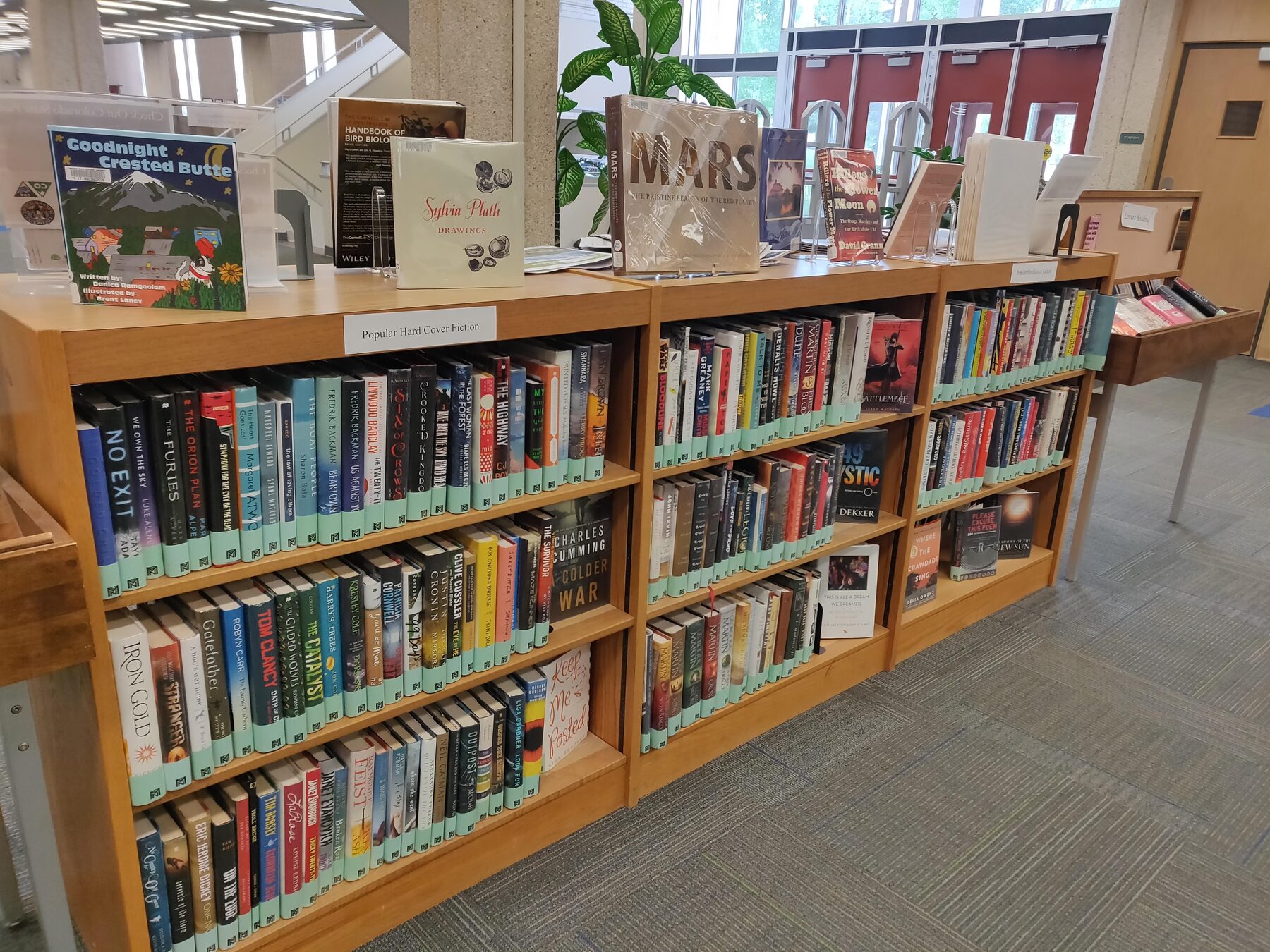 Books on a short library bookshelf